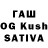 Псилоцибиновые грибы Cubensis Samuel Slagter