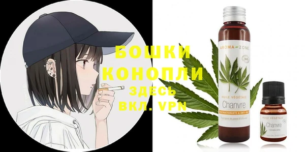 гашиш Богданович